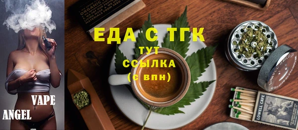 шишки Верхний Тагил